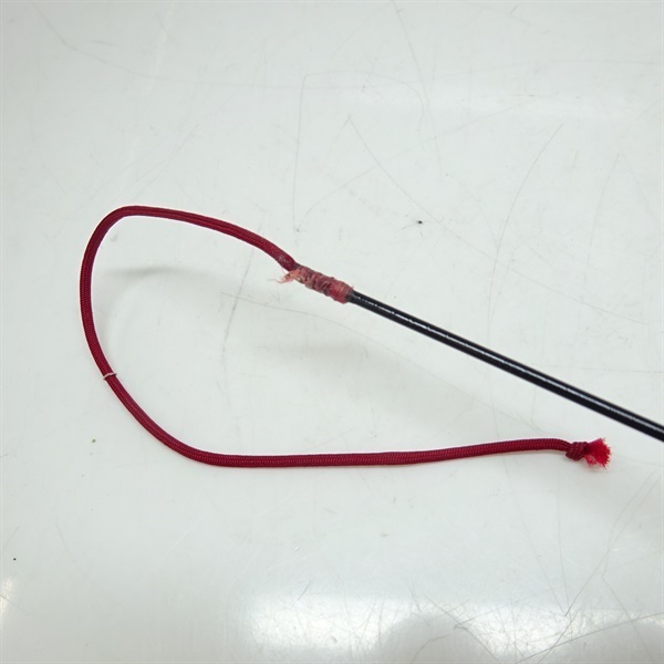 エフテックア鮎硬調８１